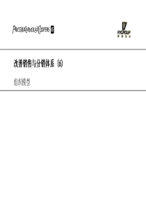 普华永道项目报告（PPT 81页）
