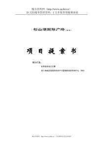 松山湖国际广场项目提案书