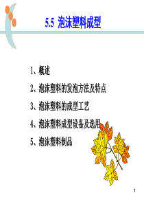 泡沫塑料成型