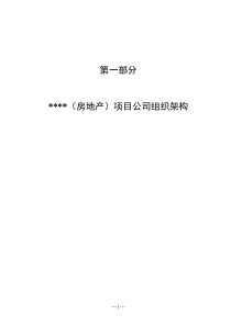 某置业集团项目公司岗位说明书(定)