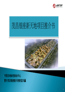 某项目推介书