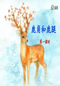 《鹿角和鹿腿》名师课件(第一课时)