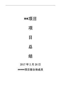 某某项目完工总结汇总
