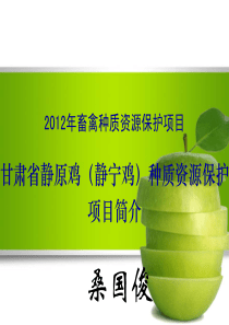 桑国俊 甘肃省静原鸡(静宁鸡)种质资源保护项目简介