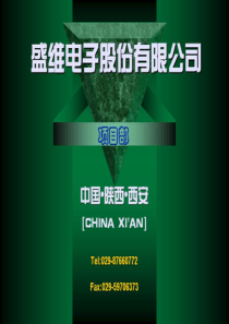 盛维电子股份有限公司(1)