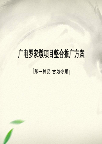 武汉桥口滨江第一城项目整合推广广告方案-101PPT