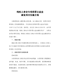 残疾人事业专项彩票公益金残疾人事业专项彩票公益金康复项目实施