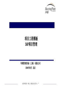 毕博为某大公司所做的项目管理培训(1)