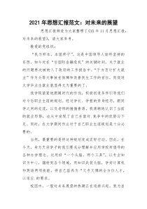 2021年思想汇报范文：对未来的展望