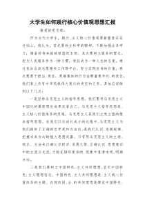 大学生如何践行核心价值观思想汇报
