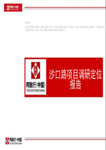 沙口路项目定位报告