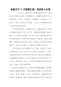 积极分子11月思想汇报：党员的人生观