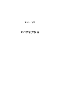 沸石加工项目可研