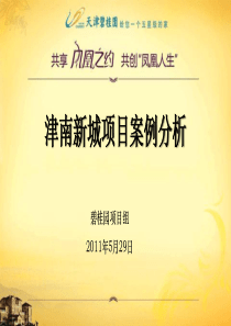 津南新城项目案例分析