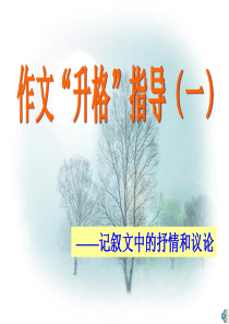 作文中的抒情和议论