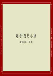 海南海口灵山嘉源项目营销推广提案