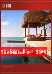 海南鲁能城_海蓝福源超级大盘新品桃花涧项目分析研究_47PPT