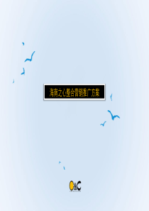 海口新埠岛别墅项目整合推广方案_78PPT_XXXX年