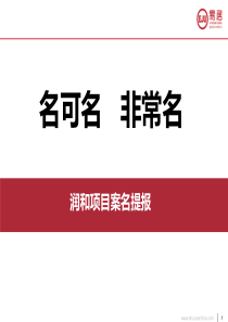 润和项目案名提报(增补)