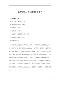 深圳宝安xx项目简要分析报告doc22(1)
