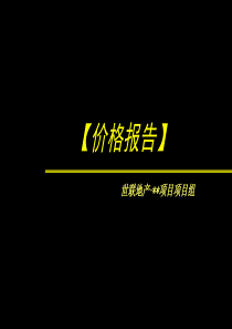 深圳某项目-价格报告