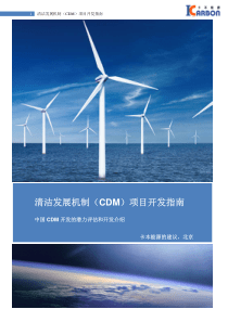 清洁发展机制（CDM）项目开发指南