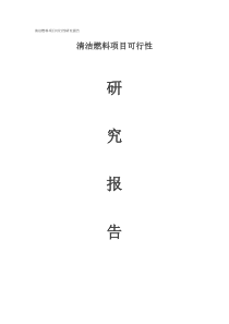 清洁燃料项目可行性研究报告