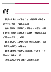 渌江明珠项目提案