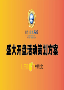 湖南某别墅项目开盘方案