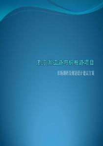 漯河项目最终版