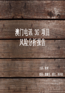 澳门电讯 3G 项目风险分析报告
