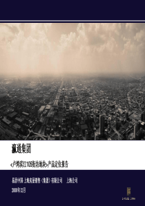 瀛通卢湾滨江项目定位报告