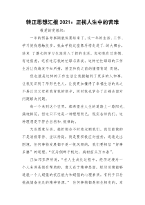 转正思想汇报2021：正视人生中的苦难