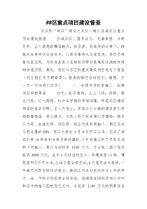 ##区重点项目建设督查
