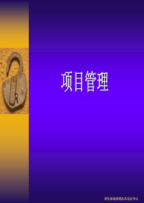 现代卓越-项目管理