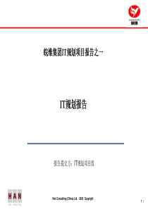 皖维集团IT规划项目报告之一-IT规划报告best