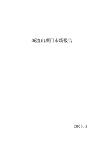 碱渣山项目市场报告