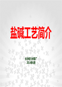 盐碱工艺简介-输卤泵-自平衡多级泵-长沙宏力水泵厂