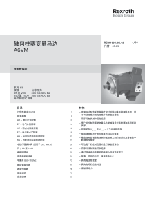 A6VM马达样本-中文