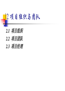 第2章 项目组织与团队