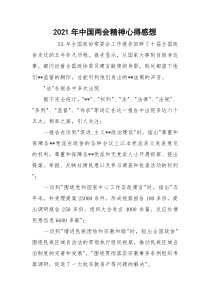 2021年中国两会精神心得感想