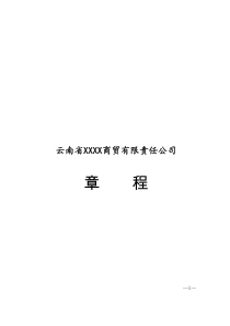 自然人独资商贸有限责任公司章程