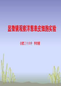 洋葱表皮观察