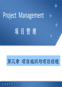 第三章-项目组织