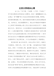 北京大学培训心得