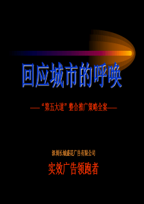 第五大道项目完整版1