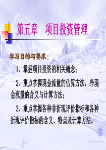 第五章 项目投资管理(会计)
