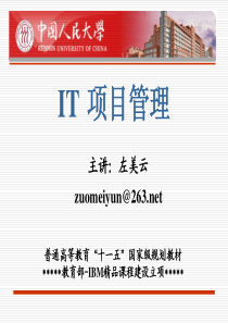 第4章 IT项目的执行与监控