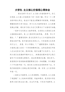 大学生.主义核心价值观心得体会
