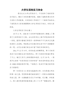大学生顶岗实习体会